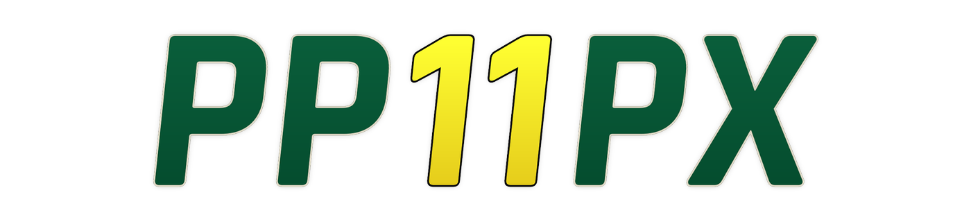 pp11px